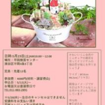 「5月23日　土曜日開催「多肉植物箱庭寄せ植え講座」」の写真