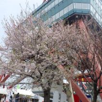 「ガイドボランティアさんの園内研修」の写真