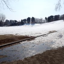 「冬のレンタル終了のお知らせ」の写真