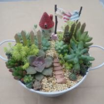 「「多肉植物箱庭寄せ植え講座」を開催しました」の写真