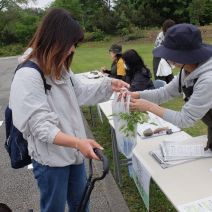 「【記念樹プレゼント】令和8年度(2026年度)記念樹配付のお知らせ」の写真