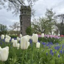 「本日の百合が原公園（2026年5月9日）」の写真