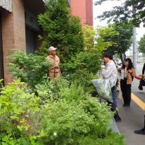 「技術指導講師派遣「フラワーフェアリーズ」剪定講習会を行いました」の写真
