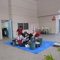 「2026年3月2日月曜日ボランティア活動報告」の写真