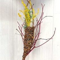 「2月11日から開始、講習会参加者募集のお知らせ（2026年2月7日）」の写真