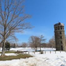 「春の息吹を感じる百合が原公園（2026年3月25日）」の写真