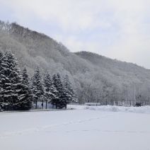 「春が始まってます!」の写真