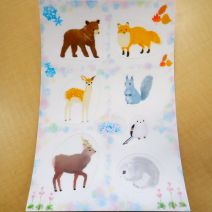 「新商品のご案内」の写真