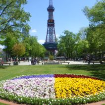 「本日のボランティア活動（シーズネット）」の写真