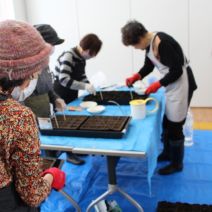 「登録団体活動紹介「花コパン」たねまきをしました」の写真