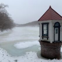 「西岡公園自然情報　2026年2月28日」の写真
