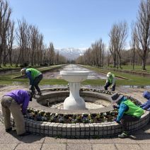 「ボランティア活動　１回目」の写真