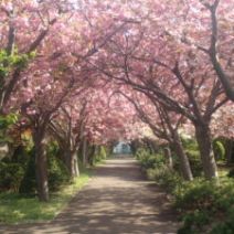 「5月15日　園内の様子」の写真