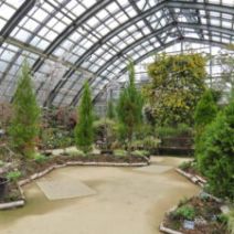 「百合が原で春の気配、ちらほら（2026年4月2日）」の写真