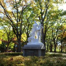 「今日の紅葉」の写真