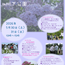 「ライラックまつりin川下公園のご案内」の写真