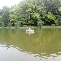 「月寒公園ボートからのお知らせ」の写真