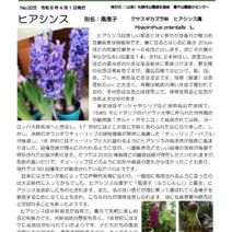 「緑のセンターだより4月号を発行します」の写真