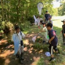 「夏休み!トンボ標本教室 がありましたよ。」の写真