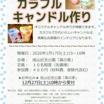 「【12月27日受付開始】「カラフルキャンドル作り」のご案内」の写真