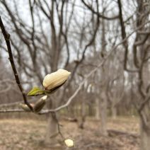 「園内の様子」の写真