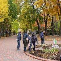 「登録団体活動紹介「永山まちの森」花壇終いをしました」の写真