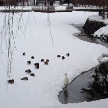 「春の訪れ」の写真