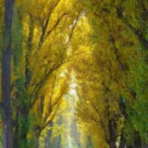 「【キラリ!さっぽろ公園30選 2025】 入賞作品の発表」の写真