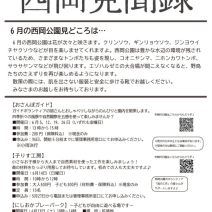 「「西岡見聞録」6月号を発行しました」の写真