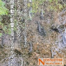 「SWSPニュースレター第16号公開」の写真