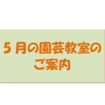 「5月の園芸教室のご案内」の写真
