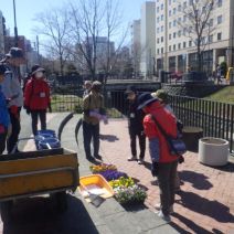 「花くらぶコンテナ花壇の花植え」の写真