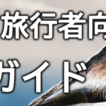 「観光や旅行者向け野鳥ガイドのご案内（2026年4月）」の写真