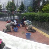 「8月も終盤今週の公園ボランティア」の写真