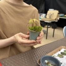 「9月上旬のイベント情報(ワークショップ、リリートレインシニア割引のお知らせ)2026年8月29日」の写真