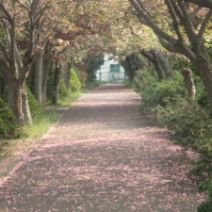 「5月21日　園内の様子」の写真
