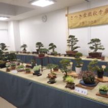 「「さつき秋季展」「サボテンと多肉植物展」 開催です!」の写真