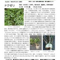 「春のバラ講習、クリーンアップ参加者の募集が始まります（2026年3月10日）」の写真