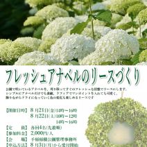 「アナベルリース講習会のお知らせ」の写真