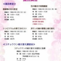 「和の佇まい「ツバキ展」明日から開催（2026年2月16日）」の写真