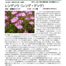「緑のセンターだより5月号を発行します」の写真