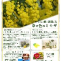 「緑のセンターだより3月号を発行しました」の写真