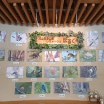 「イベント情報「クラフトの森」8月は草木染め体験です。」の写真