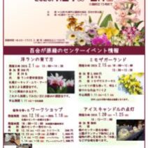 「1月開催イベント情報（2025年12月26日）」の写真