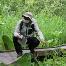 「8月11日から申込開始の講習会」の写真