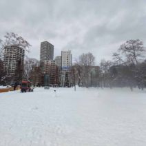 「ゆきあかりの準備してるよー」の写真