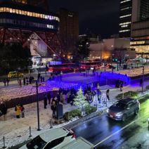 「イルミネーション点灯しました」の写真