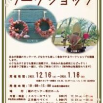 「百合が原 緑のセンターイベント情報（2025年12月15日）」の写真