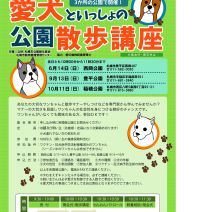 「「ユリの女王」カサブランカ開花情報と今年最後の「納涼あじさい」(2026年7月30日)」の写真