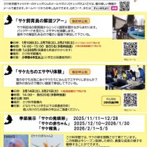 「イルミネーション点灯しました」の写真